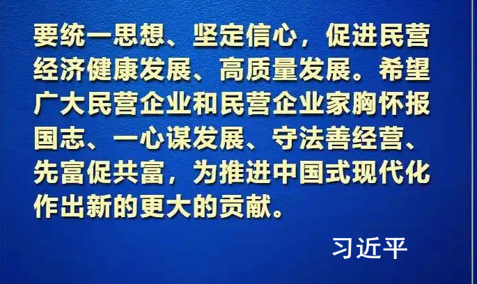 习近平:民营经济发展前景广阔大有可为 民营企业和民营企业家大显身手正当其时